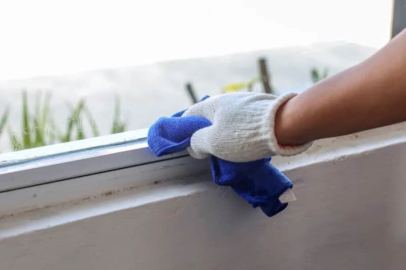 Czym myć okna, żeby się błyszczały? Sprawdzone metody bez smug